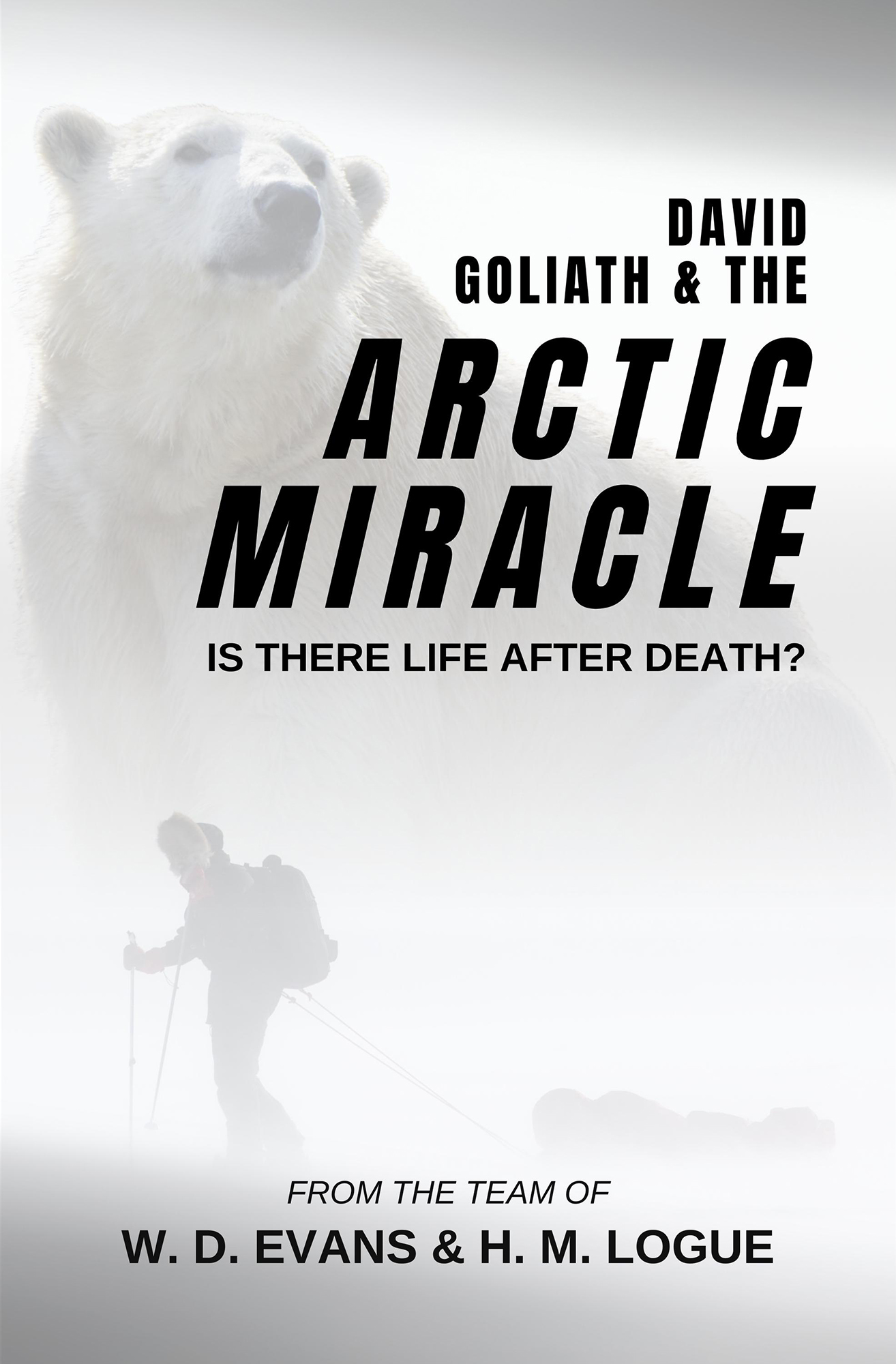 Arctic Miracle